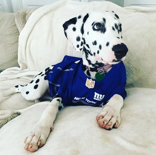 Birth, Books, NY Comic Con, Coffee, CYBERWAR SERIES Update, rj hnuneke, cyberwar, spy woman spy, nycc