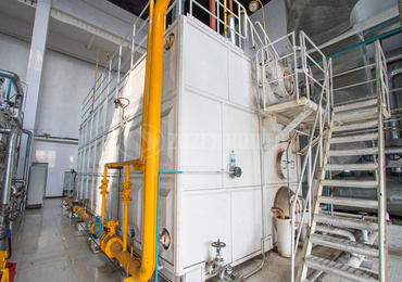 Biomass thermal fluid heater