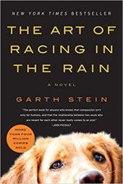 art of racing in the rain garth stein