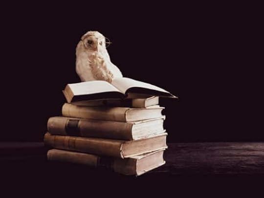 3 Habits of Wise Leaders