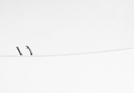 White Noise (2).jpg