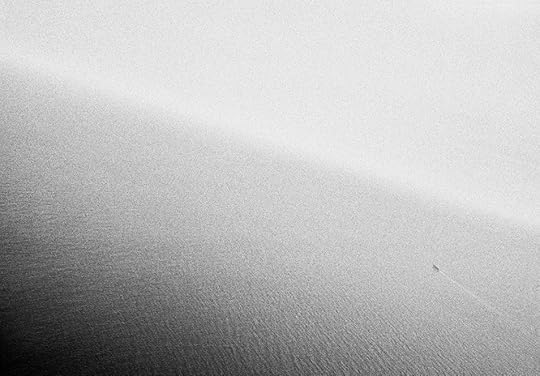 White Noise (4).jpg