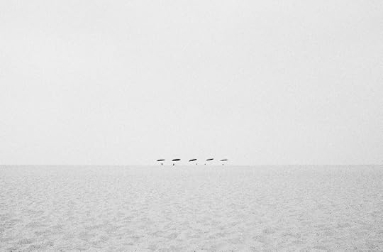 White Noise (6).jpg