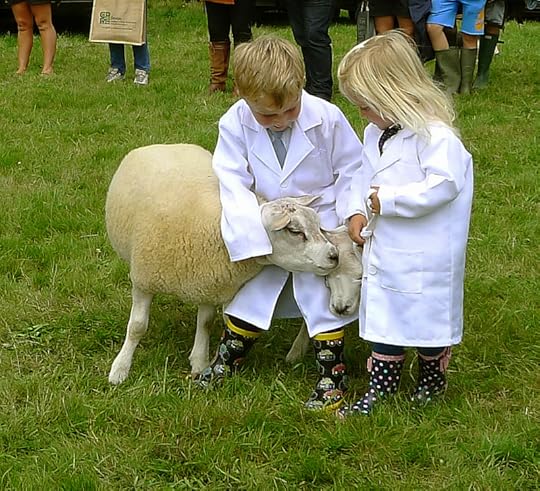 Chagford Show 17