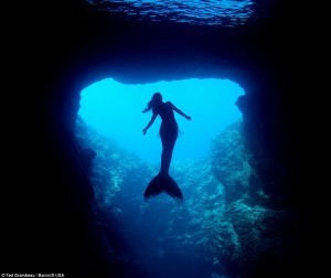 mermaid3