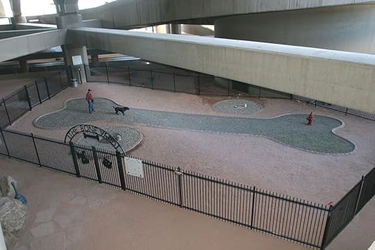 Bone Yard at Phoenix airport