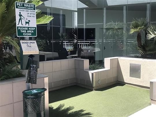 Pet relief area at LAX
