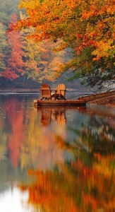 Autum 2 chairs 7:30:19