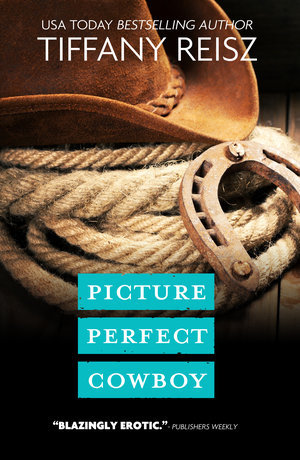 pictureperfect_PRINT_HC4.jpg