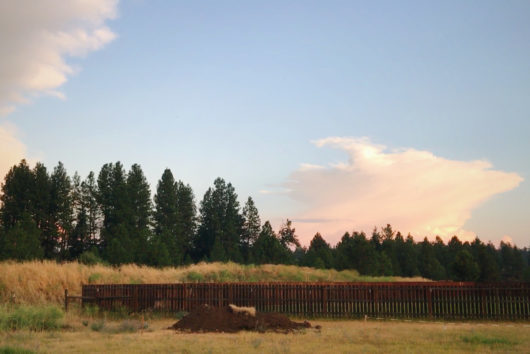 The Decision to Build Our Home