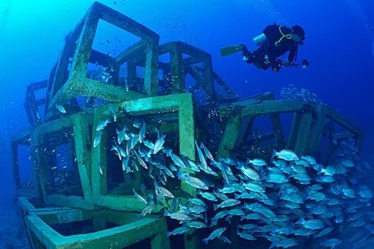 Fish around artificial reef