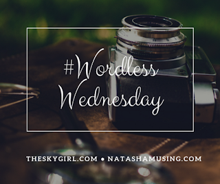 wordless wednesday tag