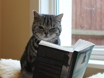 Image result for reading funny