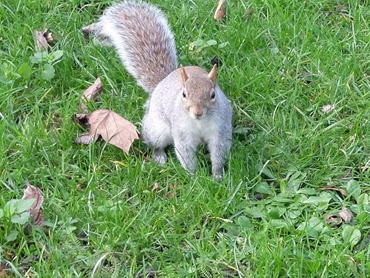 Photo credit: ZJ Beaumont