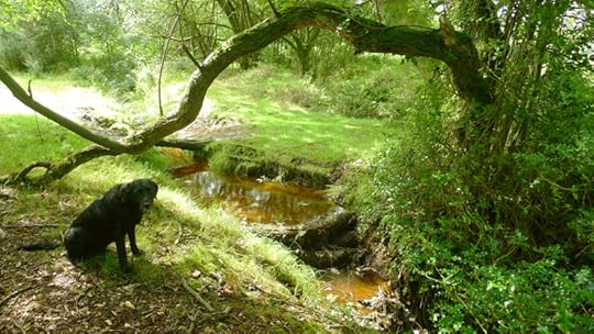 Tilly on the Commons