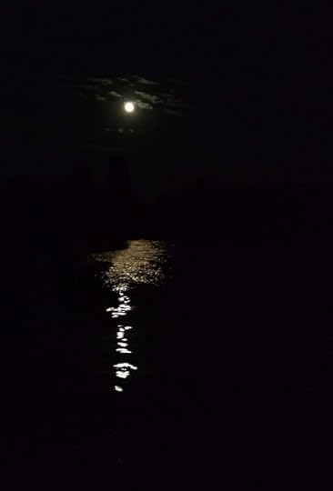 Vedere la ora cinei; Pelican City, Vylkove, Ucraina
