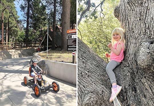 Emily Henderson First Mountain House Summer Side By Side 4