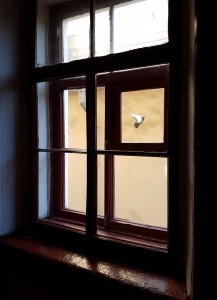 20190825_105117