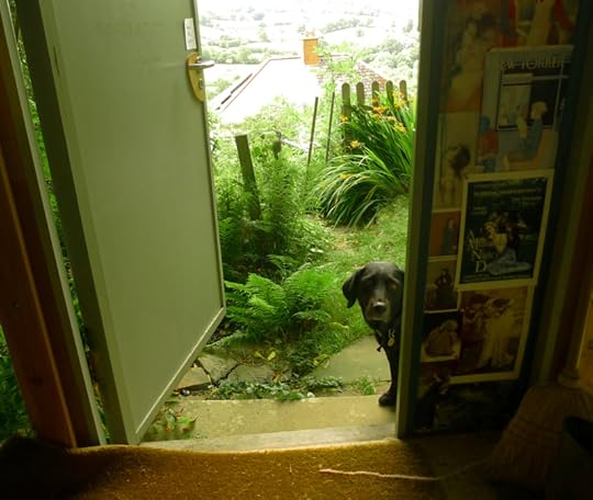 Tilly at the door