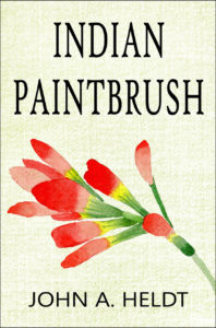Indian Paintbrush by John A Heldt