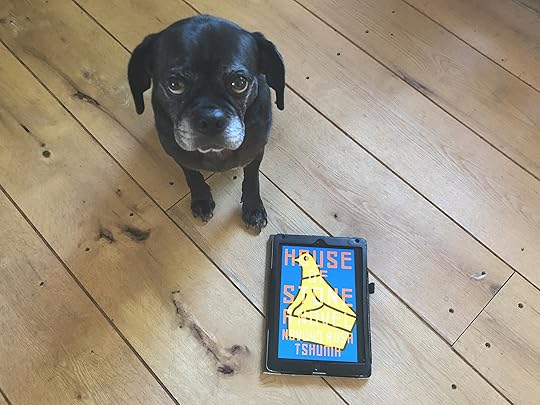 Tshuma, Novuyo Rosa - House of Stone