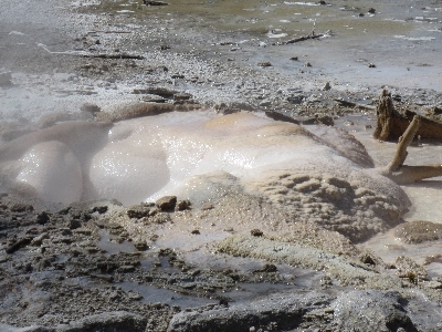 Veteran Geyser back vent