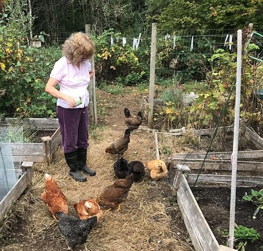 Lorraine feeds some of our chickens