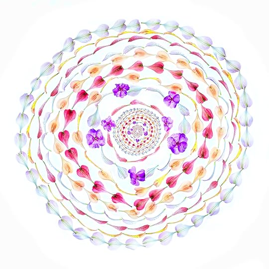 Circular Petal Composition © Harold Davis