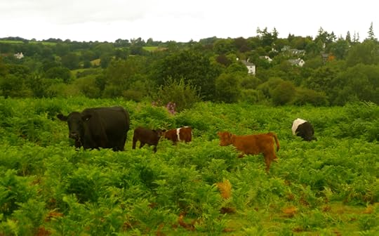 Cows on the Commons