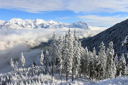 Image result for snowy mountains with trees