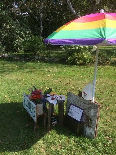 umbrella flower stand