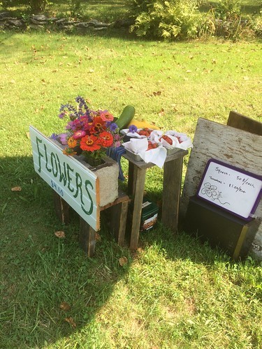 flowers cinderblock