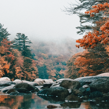 fall