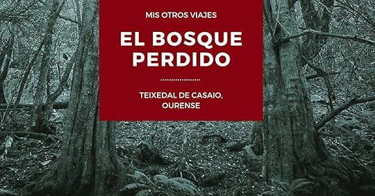 Teixedal de casaio, el bosque perdido