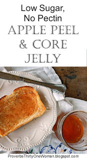 https://proverbsthirtyonewoman.blogspot.com/2017/09/low-sugar-no-pectin-apple-peel-and-core.html