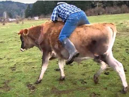 Screenshot-2019-09-04-14-20-51-1