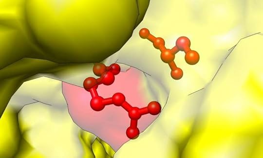 Counterintuitive physics property found to be widespread in living organisms