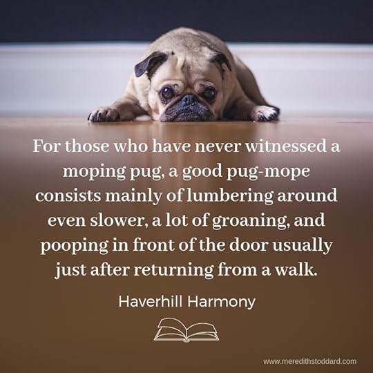For those who have never witnessed a moping pug, a good pug-mope consists mainly of lumbering around even slower, a lot of groaning and pooping in front of the door usually just after returning from a walk..jpg