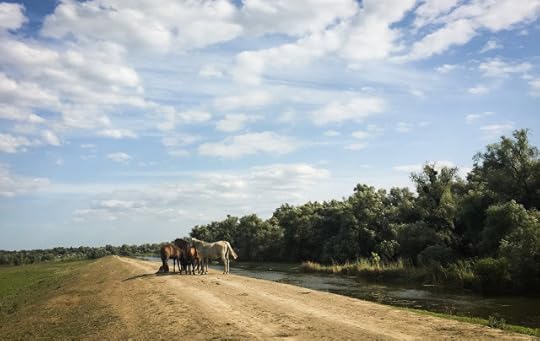 Drumul cu pricina, Delta Dunarii