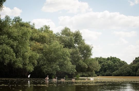 Lacul cu Cotete, Delta Dunarii