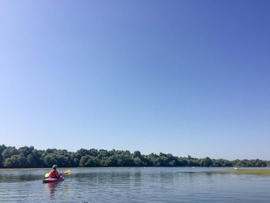 Lacul cu Cotete, Delta Dunarii