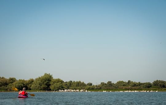 Lacul cu Cotete, Delta Dunarii