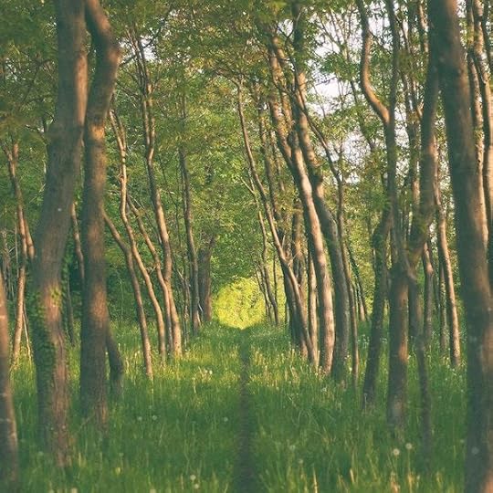 Photo by Silvestri Matteo on Unsplash