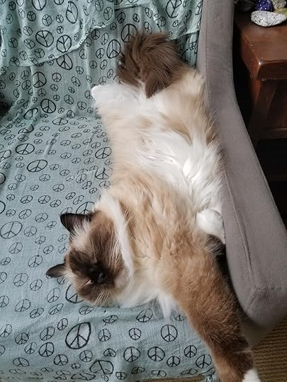 Cordelia balances it off.