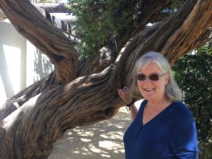 Novelists on the road