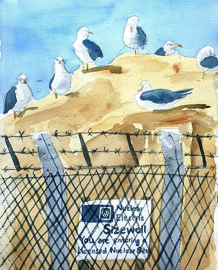 Field sketch: Lesser black-backed gulls, Sizewell Nuclear Power Station, Suffolk . Illustration © 1991 by Tim Warnes