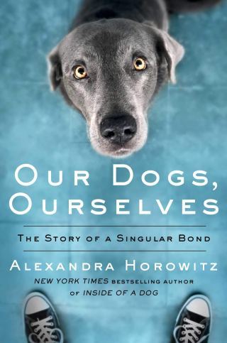 Does Your Dog Really Love You and What Does That Really Mean? A Journey in Cognitive Science and Moral Philosophy
