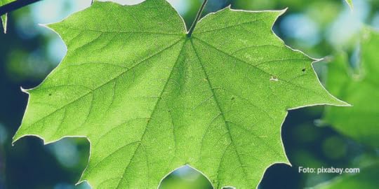 Bildcollage aus menschlichen Schatten vor diversen Uhren | Das Foto stammt von Pixabay