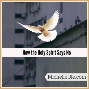 How the Holy Spirit redirects, understanding God's will, Paul, Joseph of the Old and New Testaments, dreams, interpreting the Bible