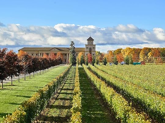 Two Sisters Vineyards